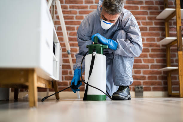 Best Fumigation Services  in Tillson, NY